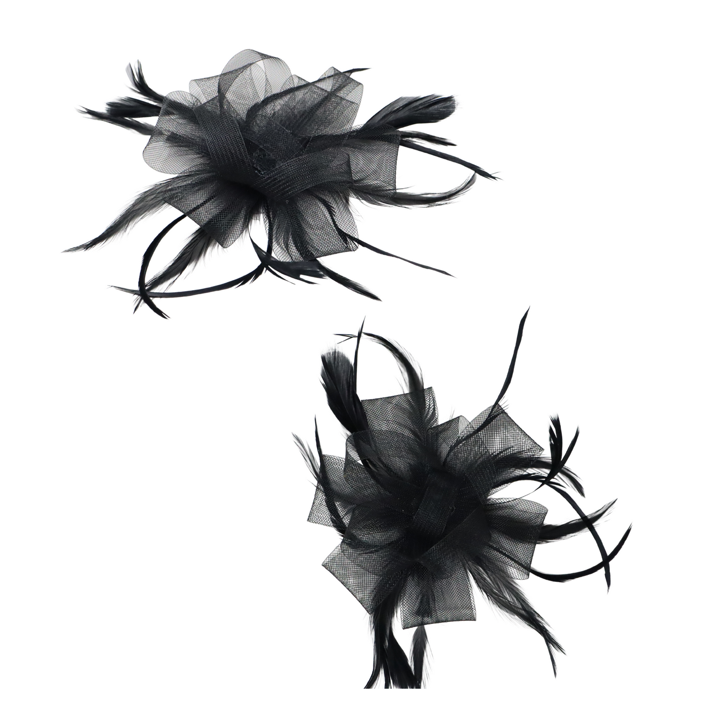 Fascinator Loop