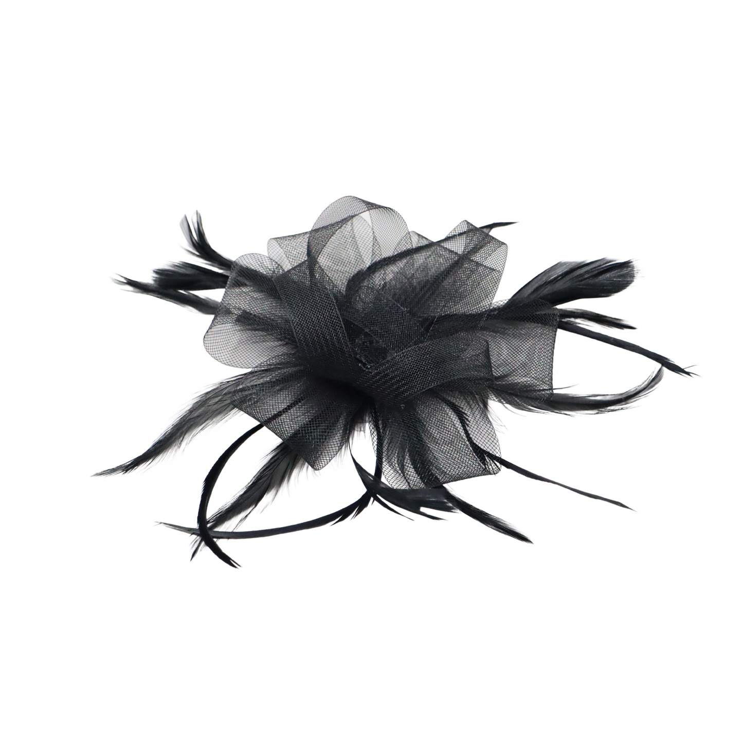 Fascinator Loop