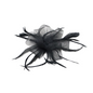 Fascinator Loop