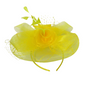 Fascinator Netted Disk
