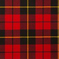 Tartan Clan Scarves M-W